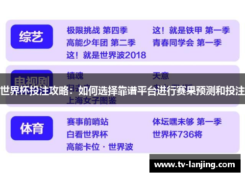 世界杯投注攻略：如何选择靠谱平台进行赛果预测和投注