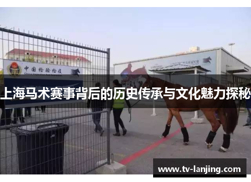 上海马术赛事背后的历史传承与文化魅力探秘