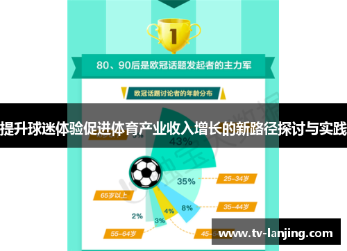 提升球迷体验促进体育产业收入增长的新路径探讨与实践