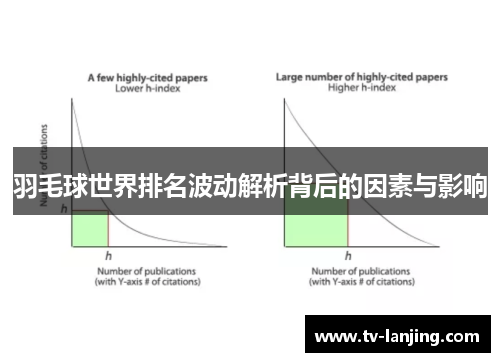 羽毛球世界排名波动解析背后的因素与影响