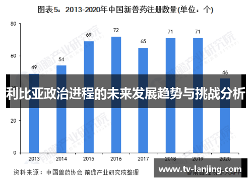 利比亚政治进程的未来发展趋势与挑战分析