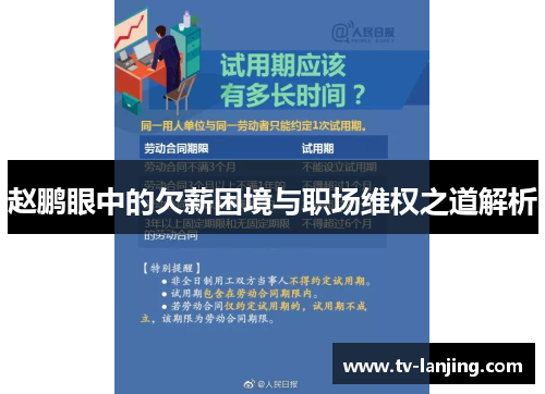 赵鹏眼中的欠薪困境与职场维权之道解析