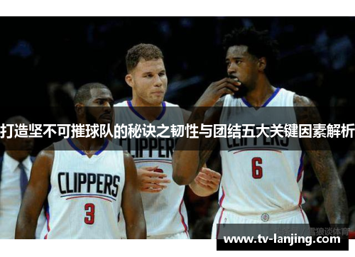 打造坚不可摧球队的秘诀之韧性与团结五大关键因素解析